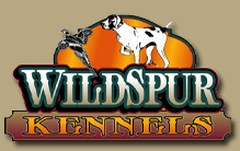 Wild Spur Kennels German Shorthaired Pointers